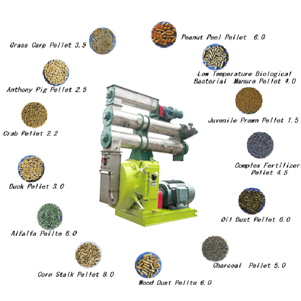 Poultry Feed Mill Process Flow Chart